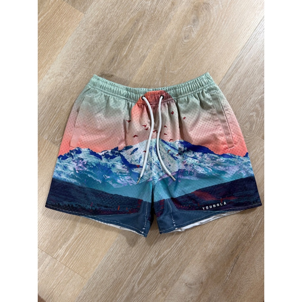 YoungLA Mountain Landscape Graphic Mesh Gym Shorts Multicolor - Size Large